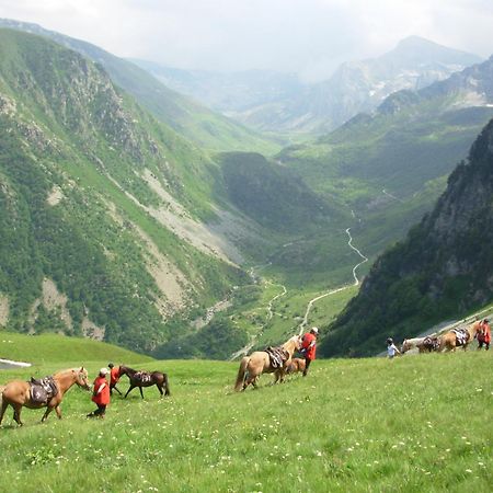 Roccaforte Mondovì Agriturismo Bio-Ecologico Sant'Isidoro المظهر الخارجي الصورة