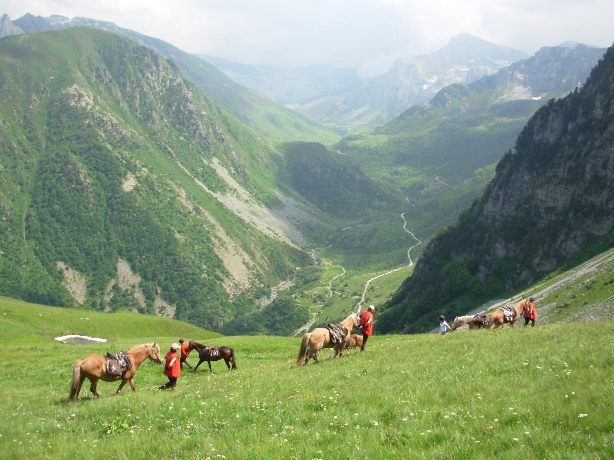 Roccaforte Mondovì Agriturismo Bio-Ecologico Sant'Isidoro المظهر الخارجي الصورة