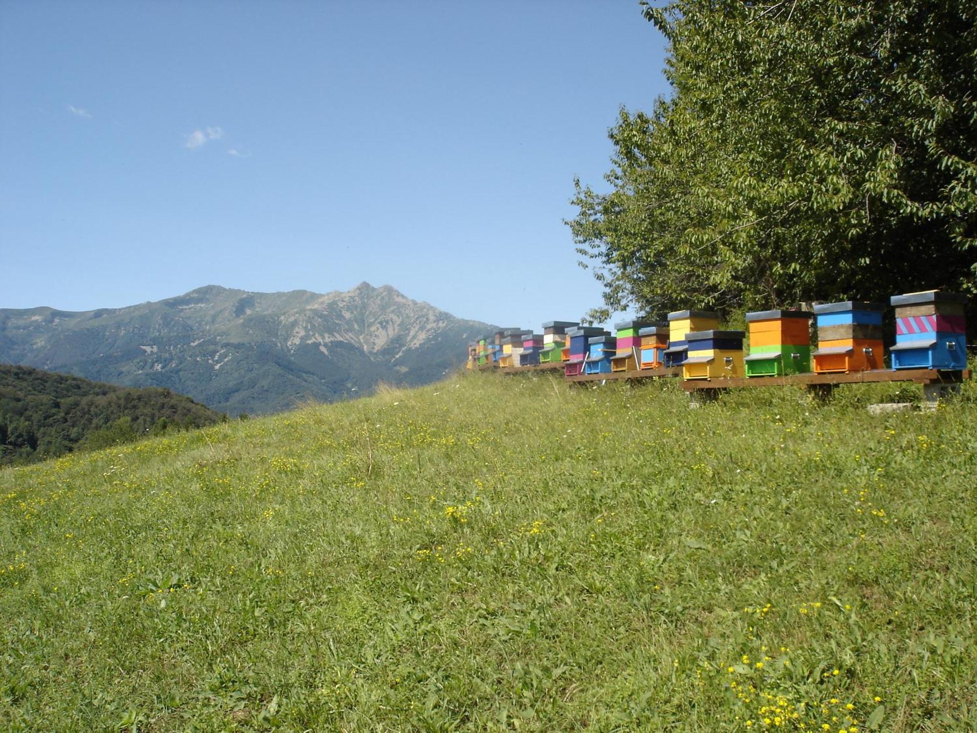 Roccaforte Mondovì Agriturismo Bio-Ecologico Sant'Isidoro المظهر الخارجي الصورة