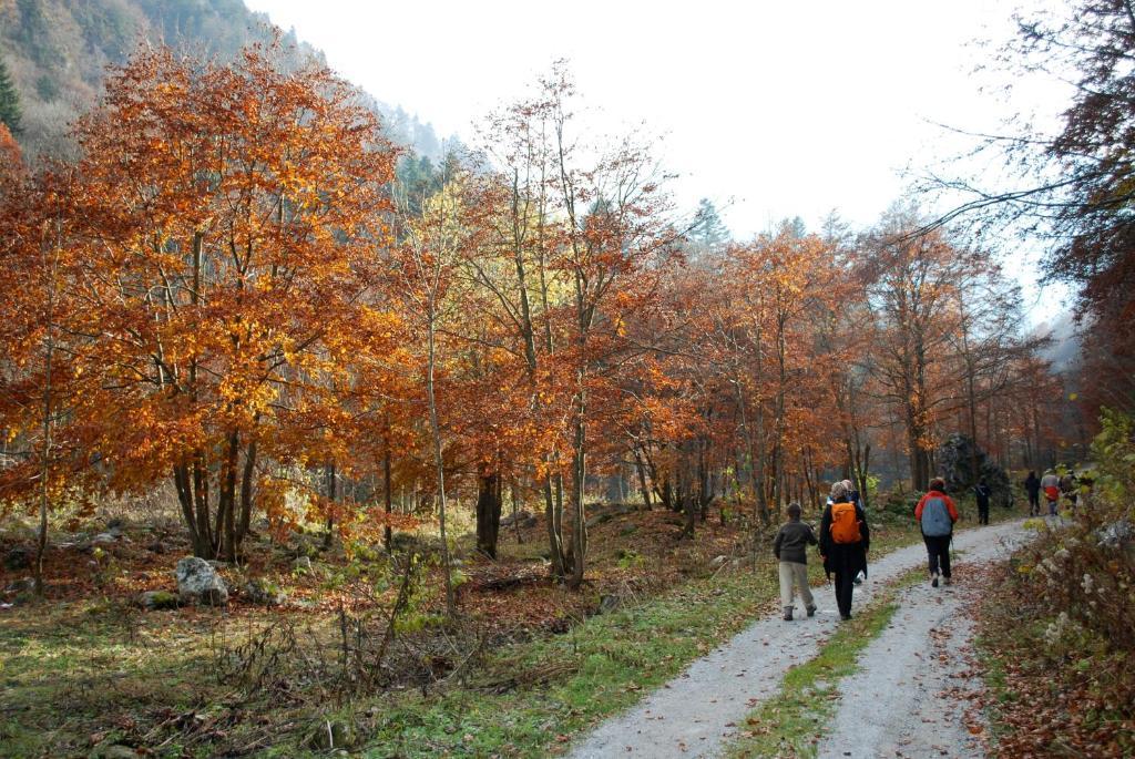 Roccaforte Mondovì Agriturismo Bio-Ecologico Sant'Isidoro المظهر الخارجي الصورة